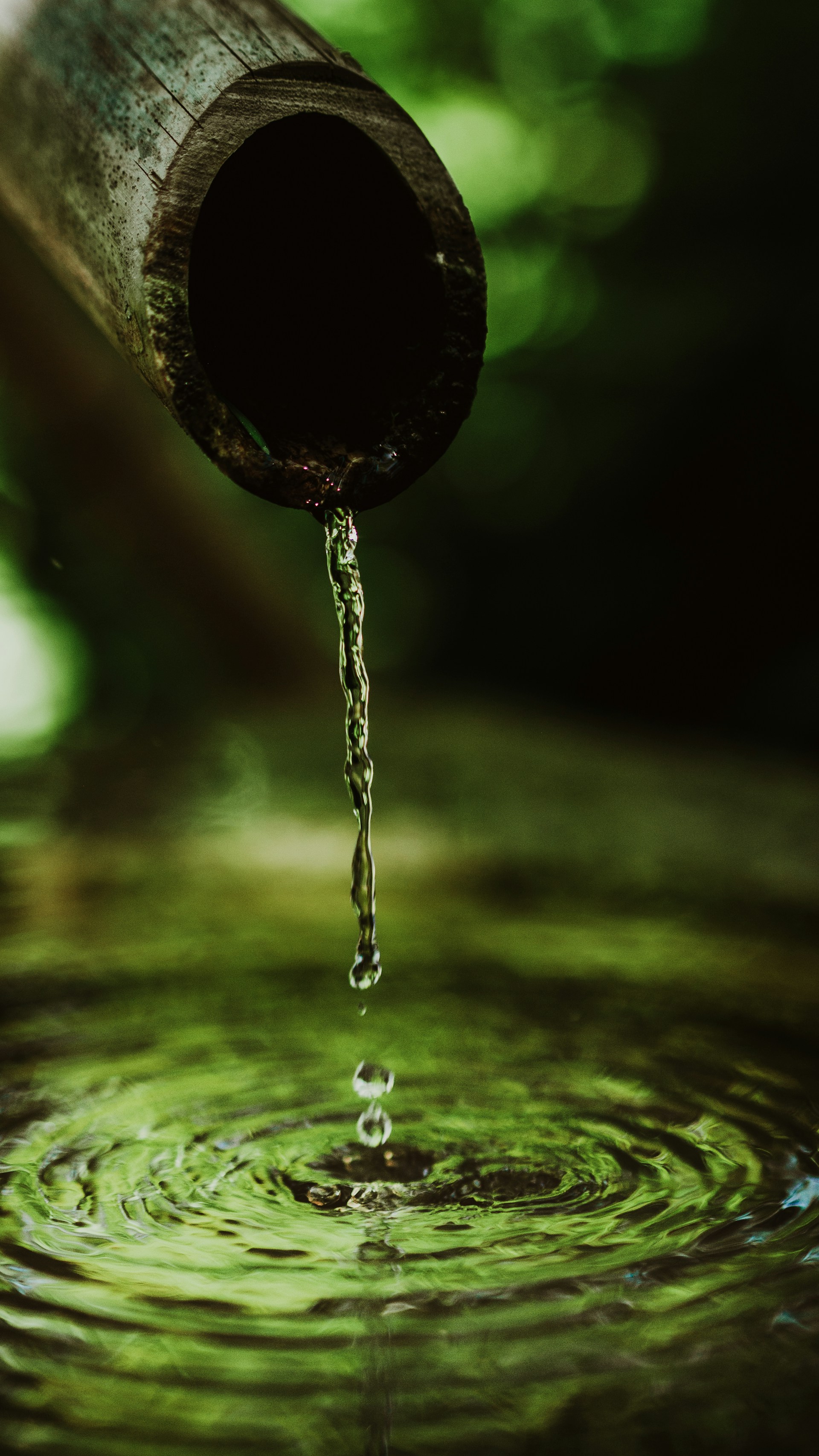 Chlore & sous-produits