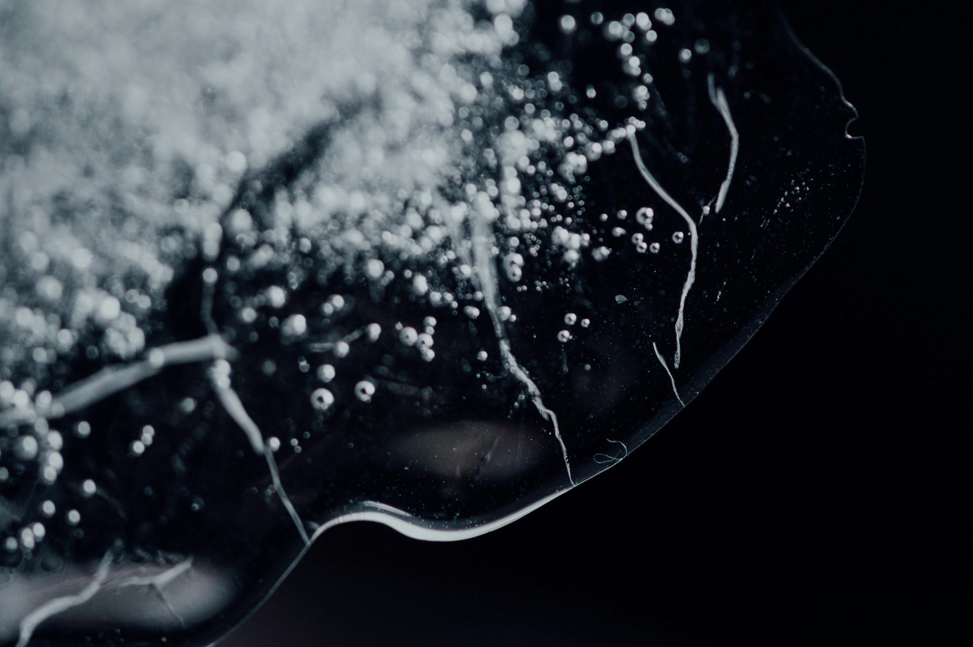 Résidus médicamenteux