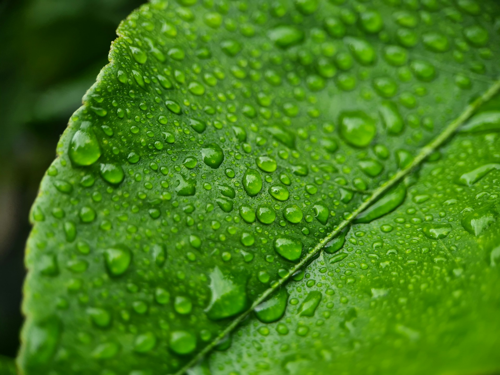 Les fausses bonnes solutions (et les vrais gestes)